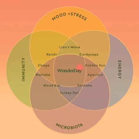 WonderDay Mushroom Gummies
